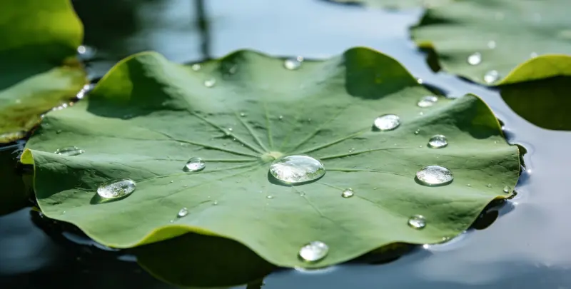 成都乳腺癌21基因mRNA表达分析图片1